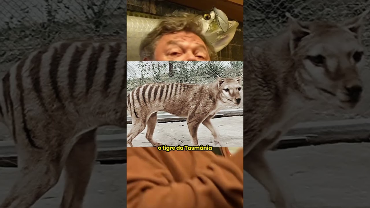 ANIMAIS QUE FORAM EXTINTOS, RICHARD CONTA: 