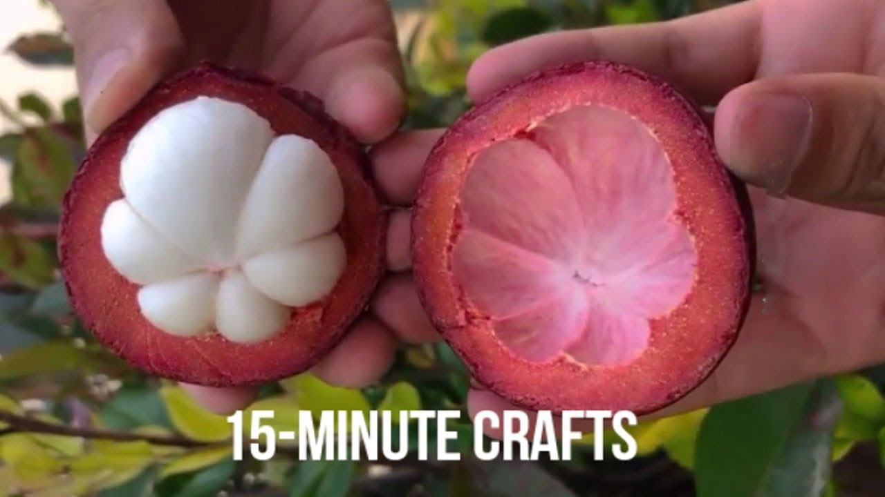 Amazing Beautiful Natural - fruit farming #01