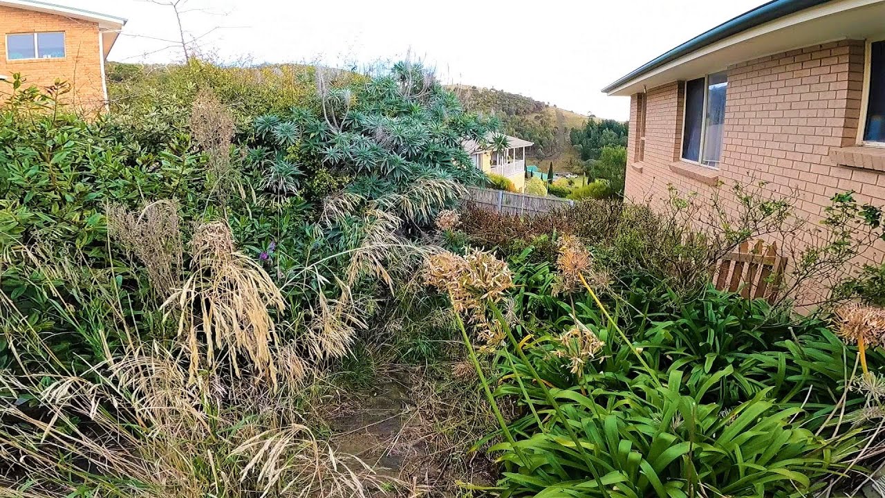 I was FORCED to FIX this JUNGLE ALONE | Epic GARDEN Restoration