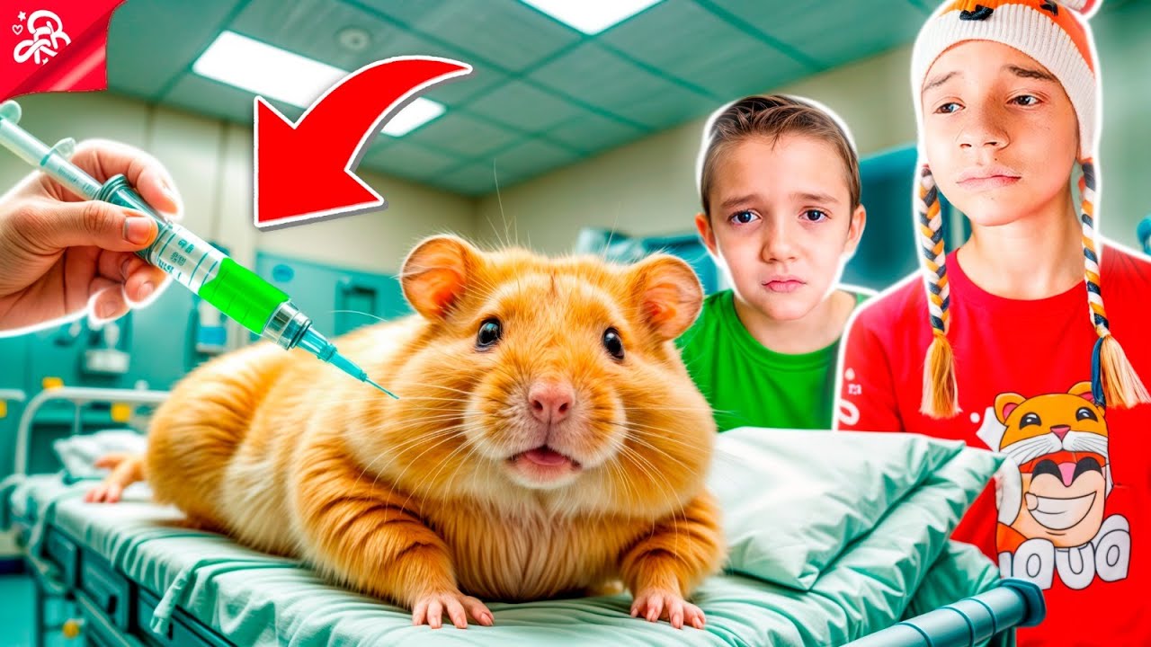A PUDIM LEVOU INJEÇÃO! *coitadinha da pudim 😟