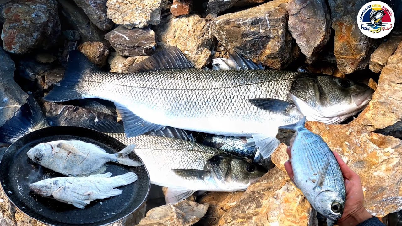 fabriquer cet appâts super facile et vous n'arrêterez jamais de tirer du poisson