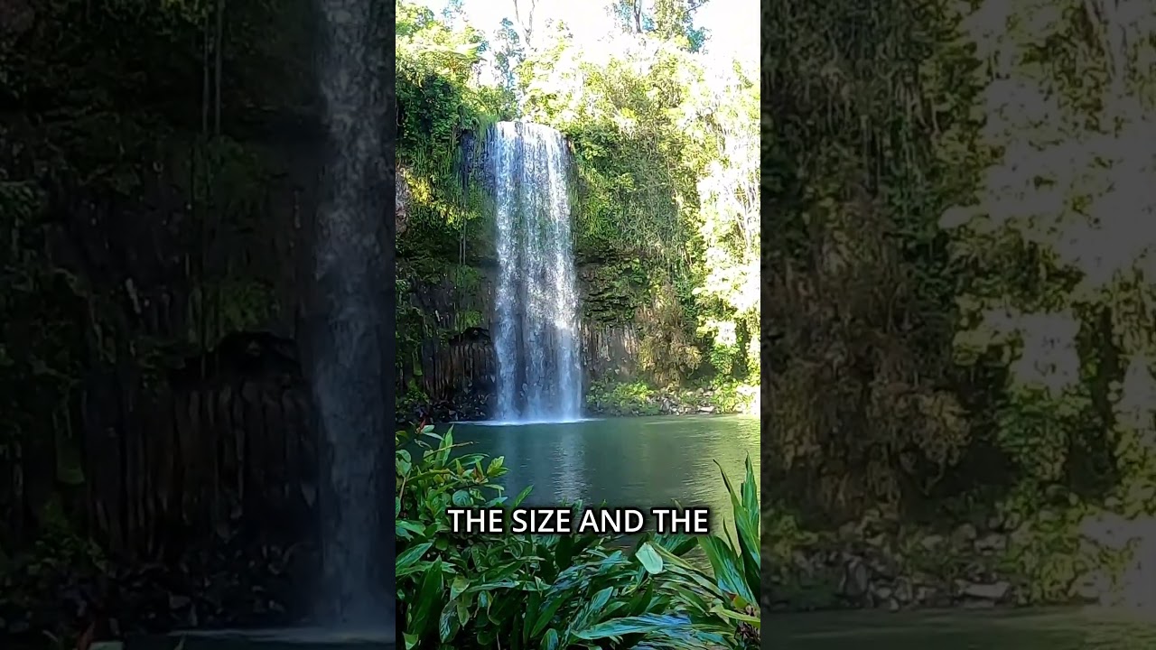 Millaa Millaa Falls is the Most photographed Waterfall in Australia