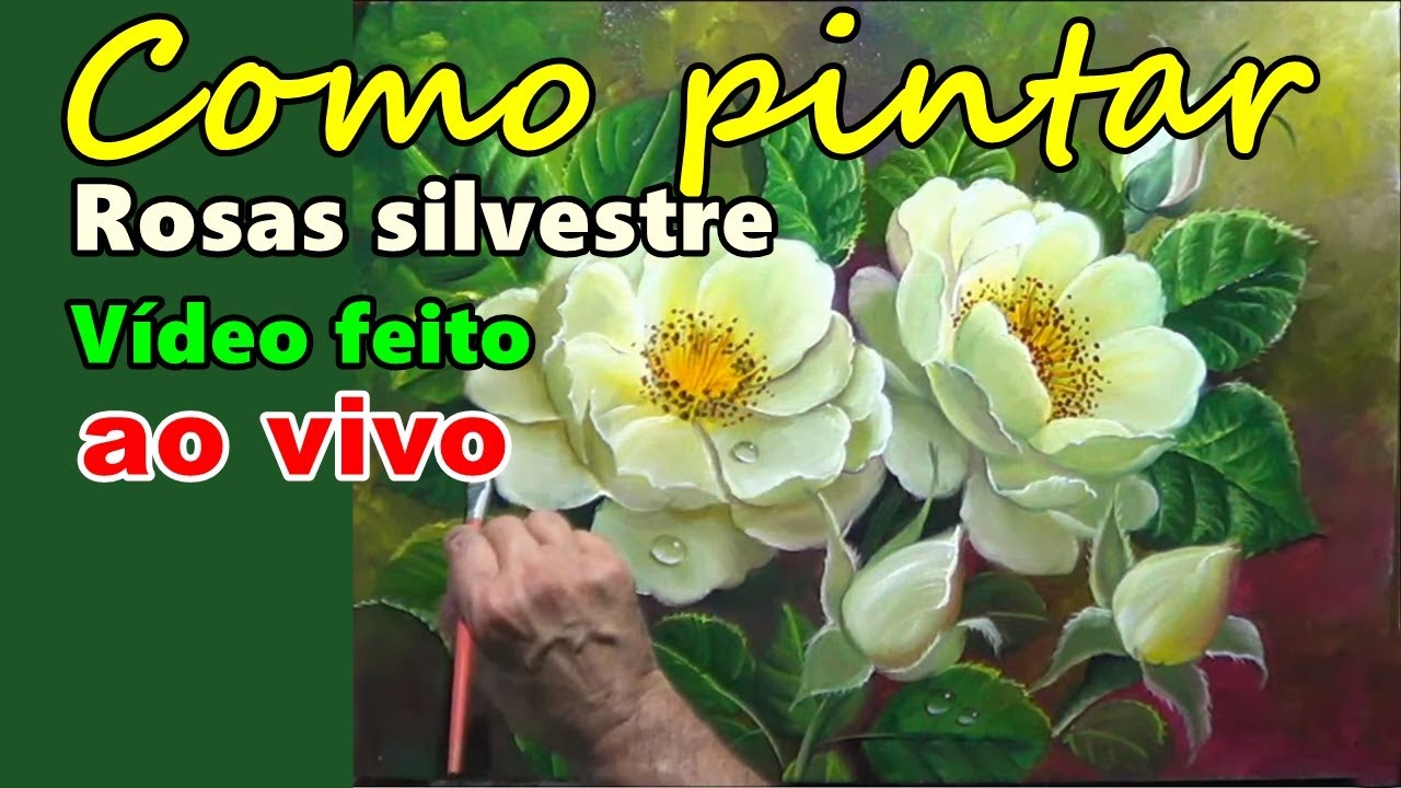 Como pintar rosas silvestre