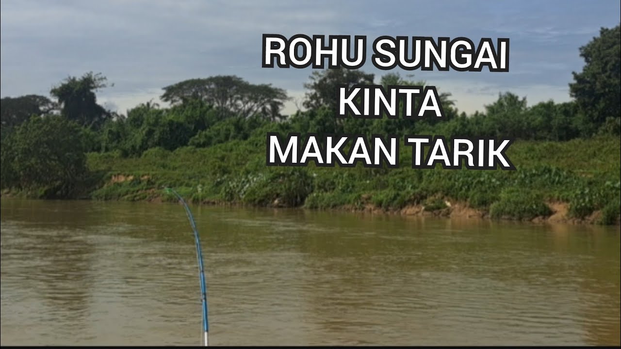 ROHU SUNGAI KINTA,MAKAN LAST MINIT.