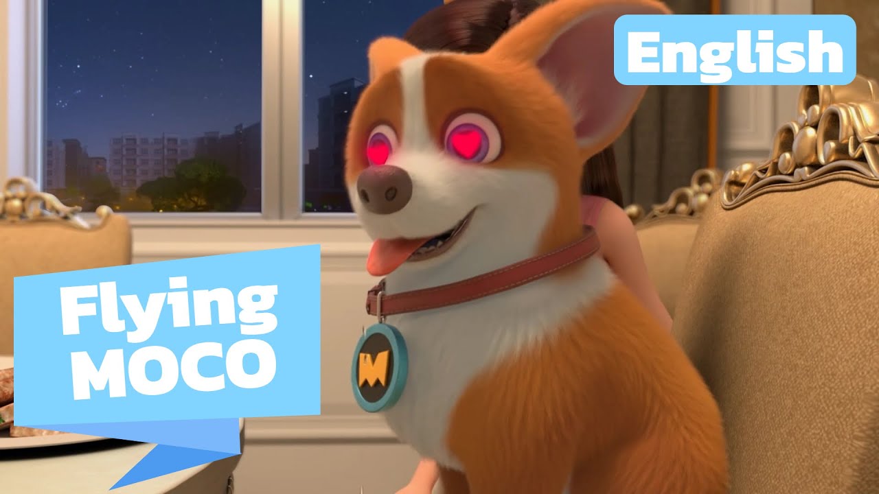 Flying MOCO 🐶 | English Version