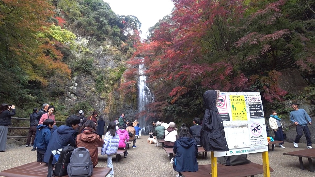 【散歩】 大阪：箕面もみじまつり 4　OSAKA：Take a Walk to Minoh Falls