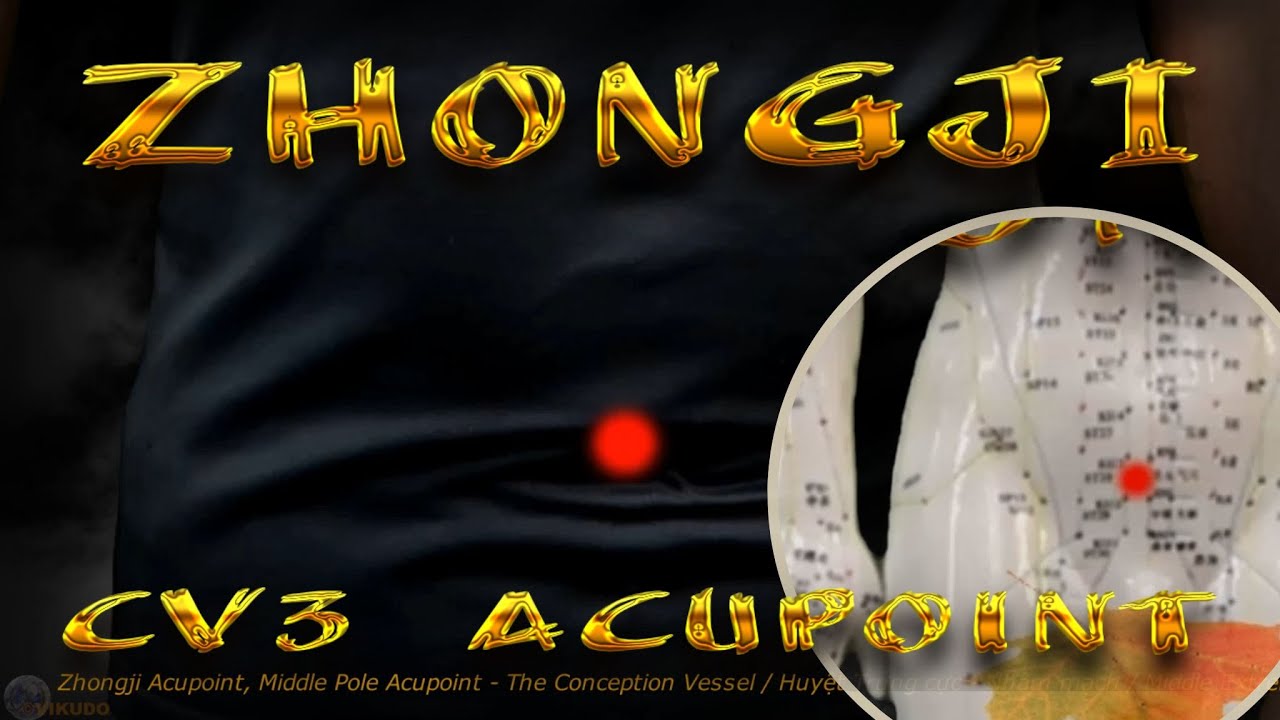 CV3 | Zhongji Acupoint | Conception Vessel Meridian | Acupressure VIKUDO