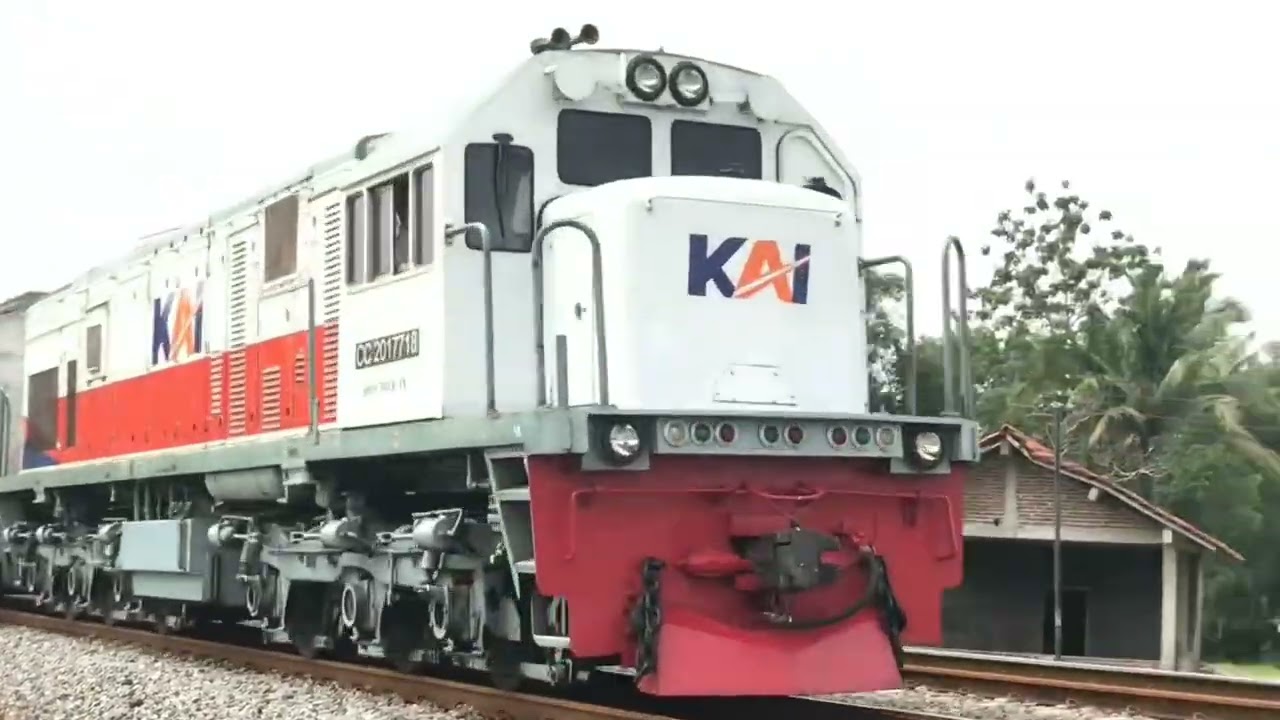 KERETA API PANJANG ‼️ MENEMUKAN 20 KERETA API NGEBUT DI TIKUNGAN
