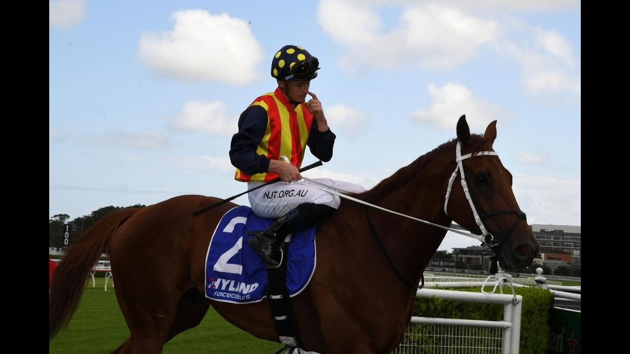 T J Smith Stakes 2021 || Nature Strip ||
