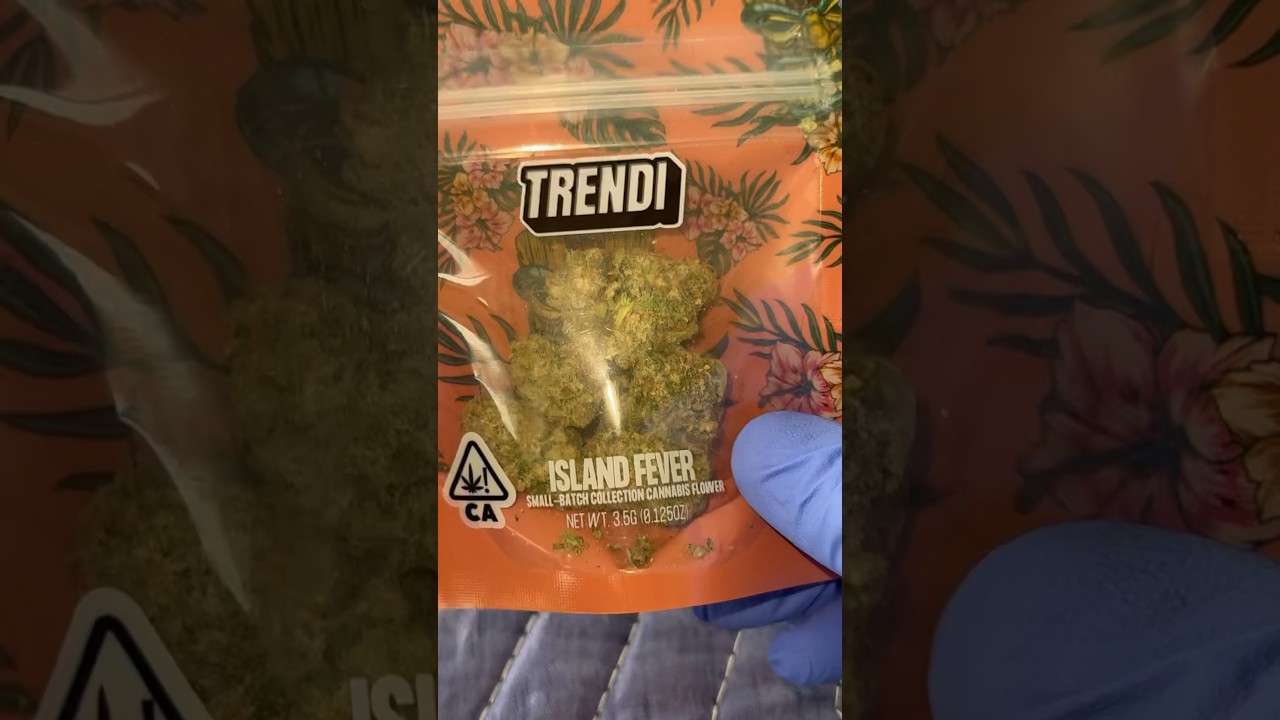 TRENDI - Zkittlez X Georgia Pie