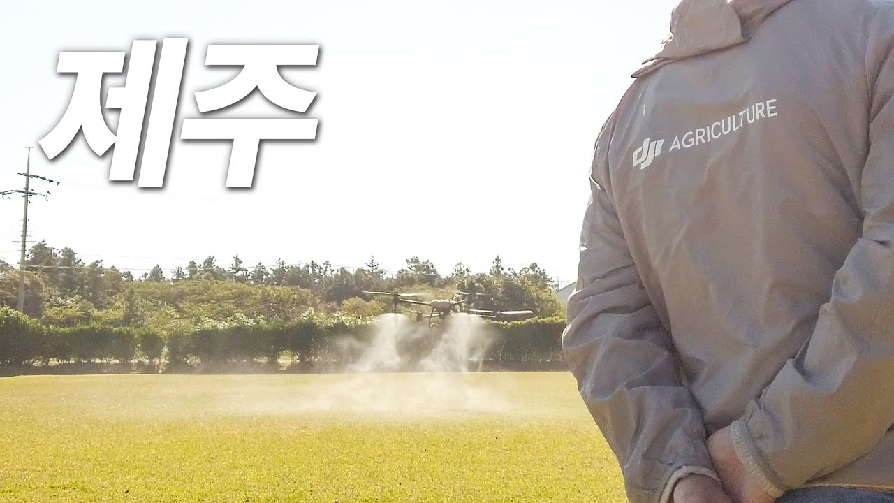 DJI AGRICULTURE DRONE T20P 제주도 시연 | 솔빛 드론 농업용 방제 세미나