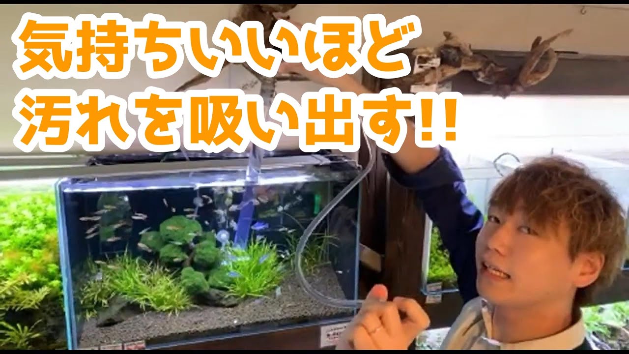 プロホースを使った水槽の底掃除のワンポイントレッスンをする山田氏【トールマンTV切り抜き】