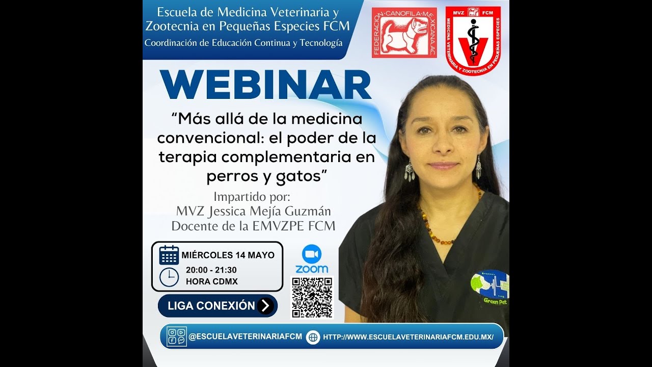 Más allá de la medicina convencional: el poder de la terapia complementaria en perros y gatos