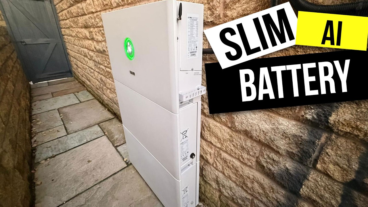 BIG BRAND, Heated Battery With Built in AI For Grid Trading!