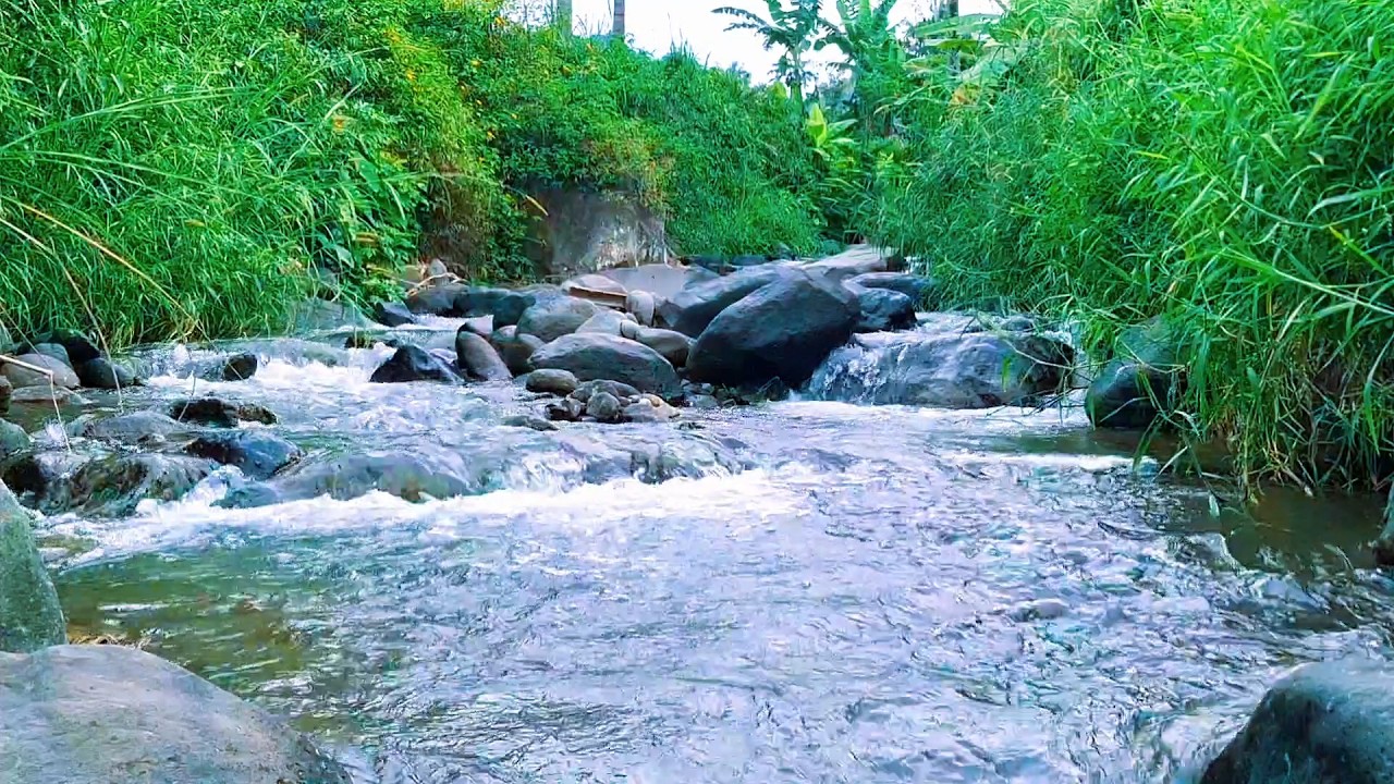 Gentle River Flow for Stress-Free Sleep