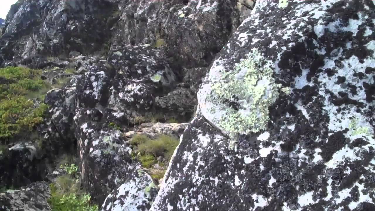 Knutshøe - fire jenter og fire fedre