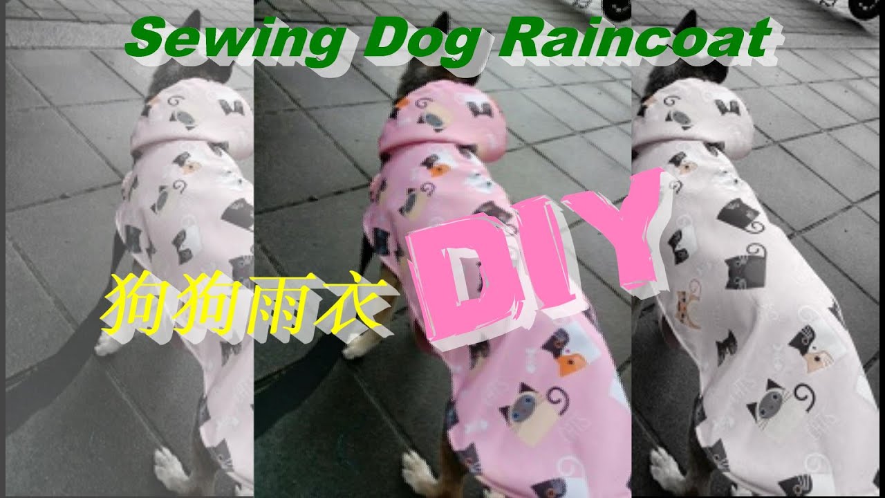 #10.DIY狗狗雨衣｜Sewing Dog Raincoat【Buyiping Handmade】 【布衣品手作】