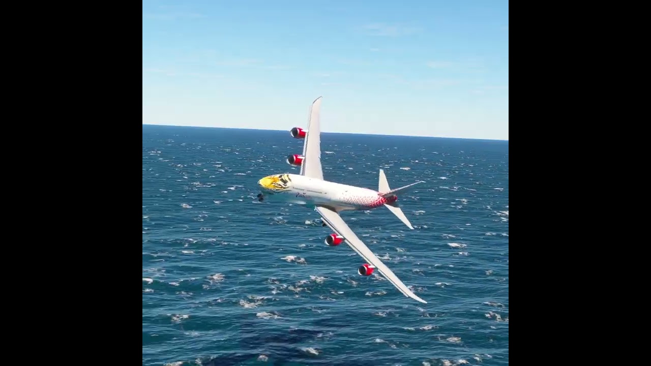 the pilot's actions endangered the plane's passengers EP262