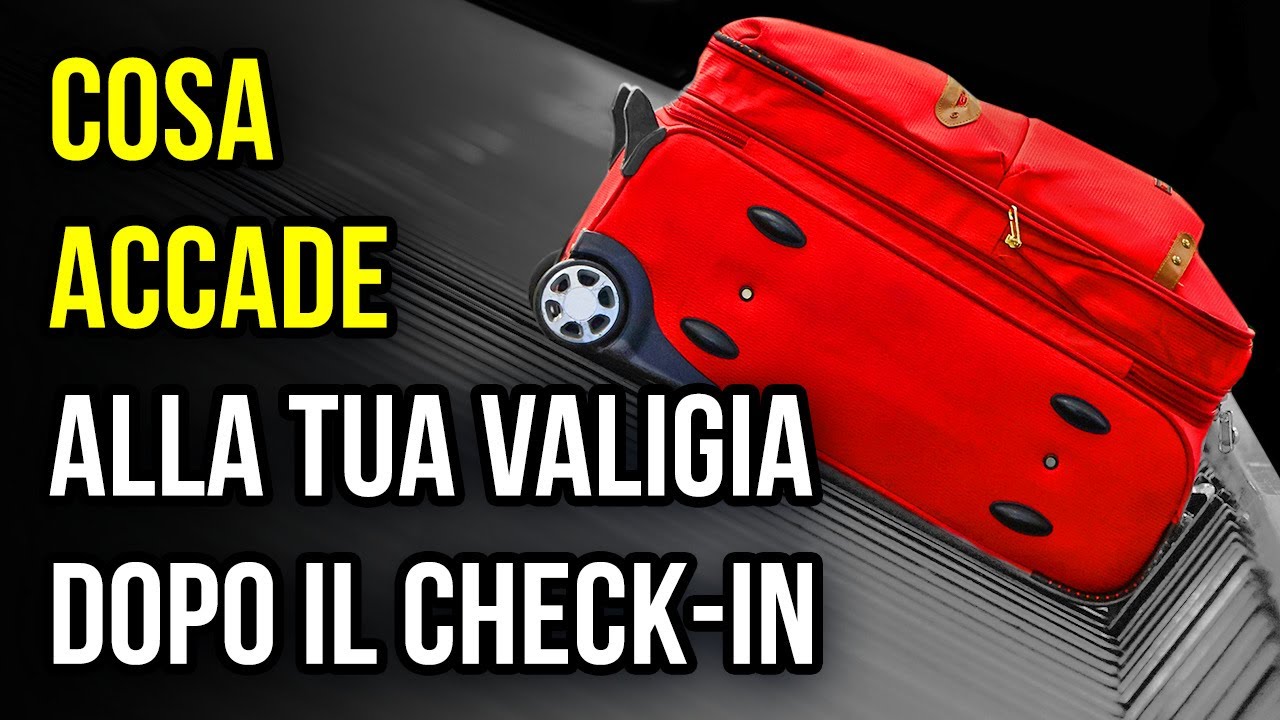 I Tuoi Bagagli Fanno Un Viaggio Incredibile Dopo Il Check-in