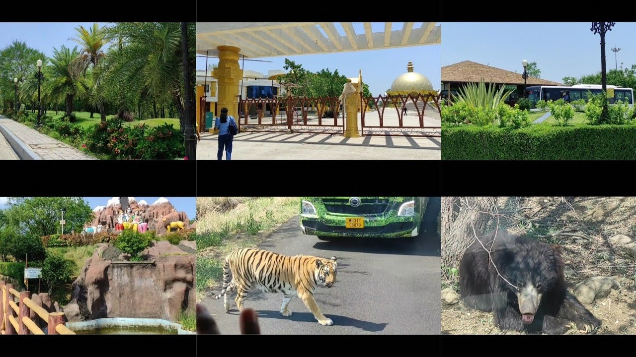 GOREWADA  INTERNATIONAL ZOO VLOG 🐯🐆🐻🦌🦚
