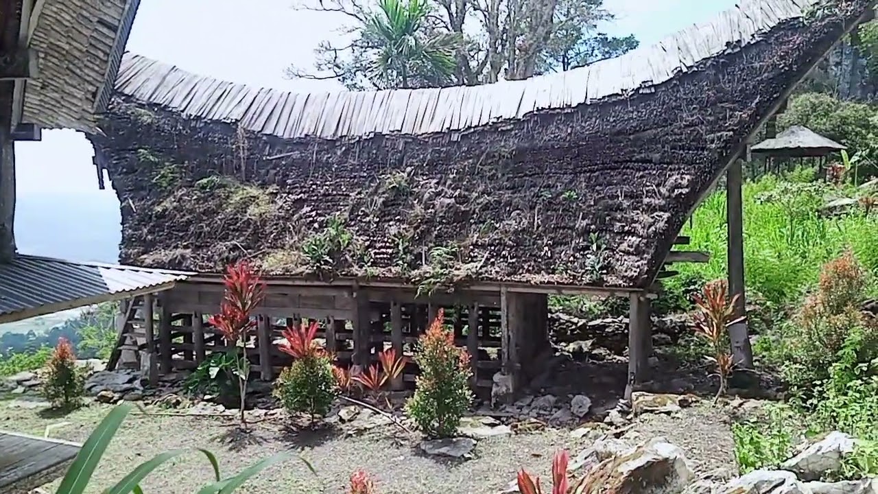 Tongkonan Sassa Rumah Tua di Mengkendek Tanah Toraja #torajaunik #travel #trending