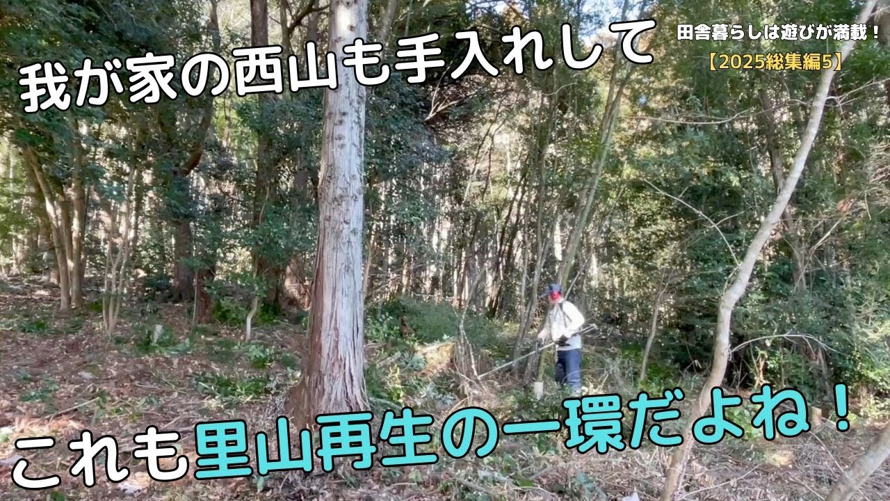 【2025総集編#5】我が家の西山も手入れして　これも里山整備の一環だよね！