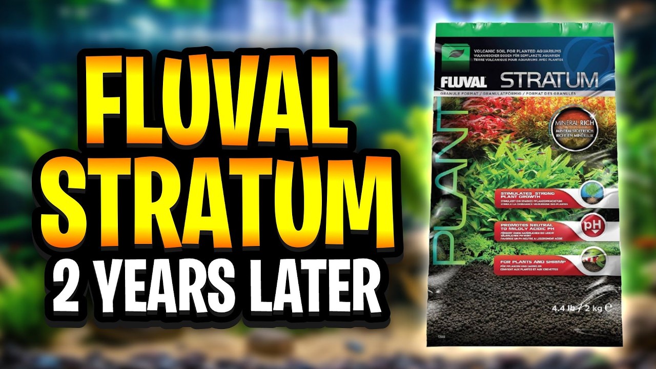 Fluval Stratum 2 года спустя - аквагрунт для аквариумов с растениями!