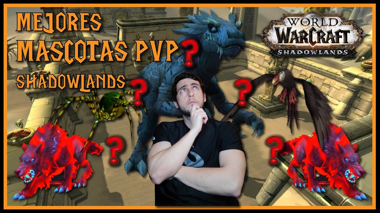 🐾 MEJORES MASCOTAS PvP para CAZADOR 🏹 | World of Warcraft SHADOWLANDS