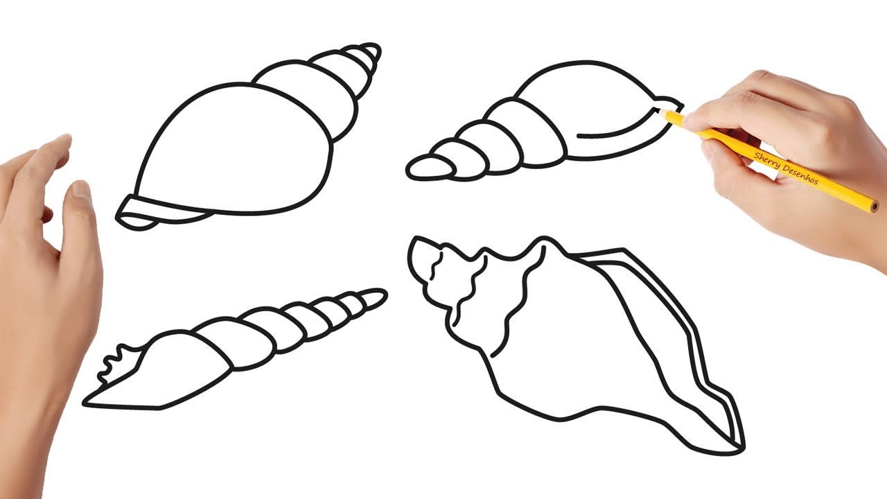 Como desenhar conchas do oceano