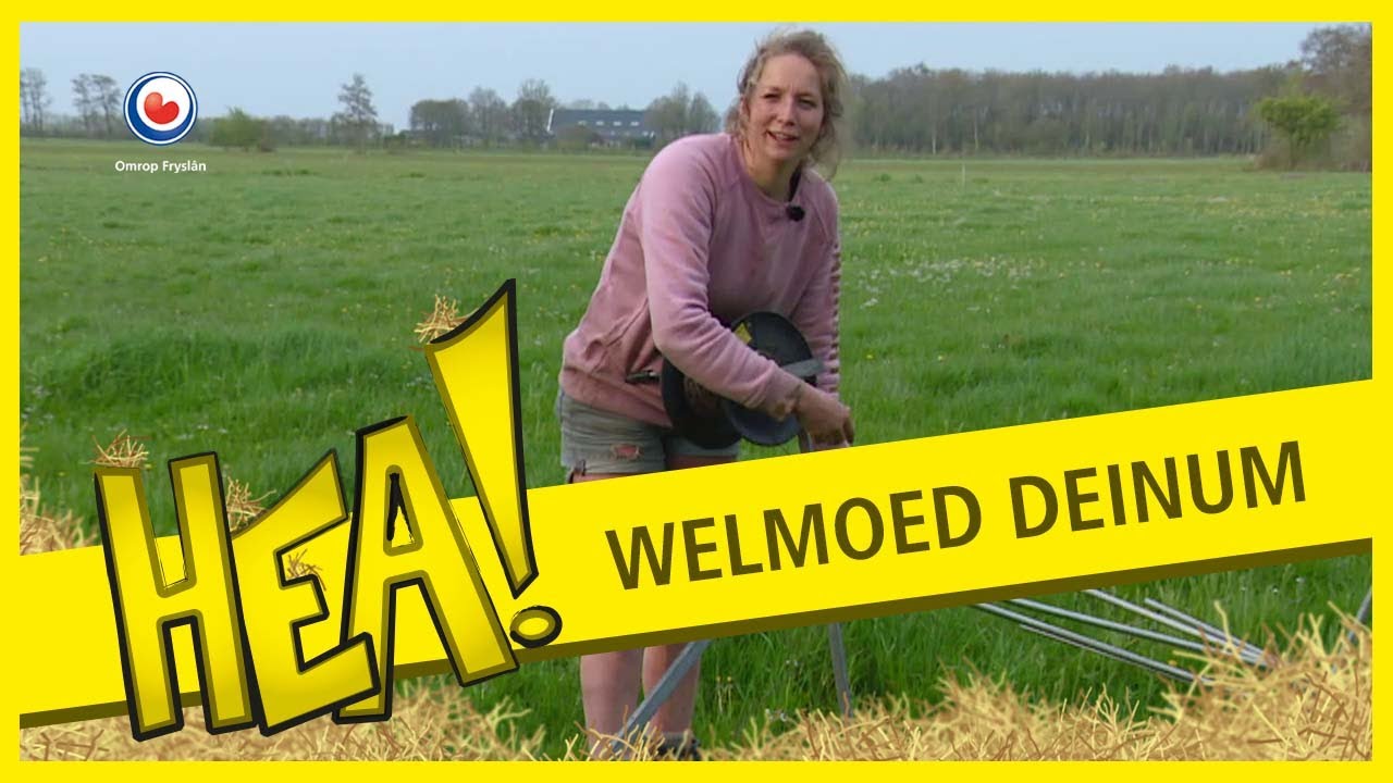 HEA! Welmoed, de vloggende boerin