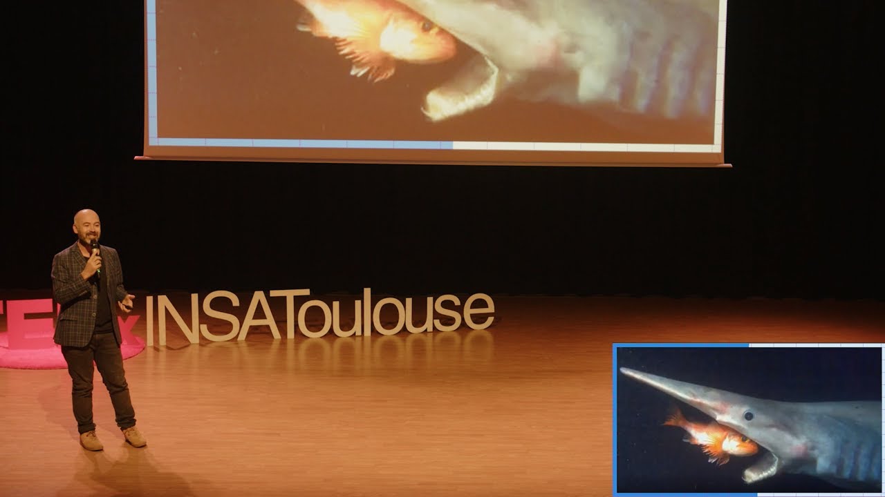 Abysses: du bruit dans le monde du silence | Olivier Lascar | TEDxINSAToulouse