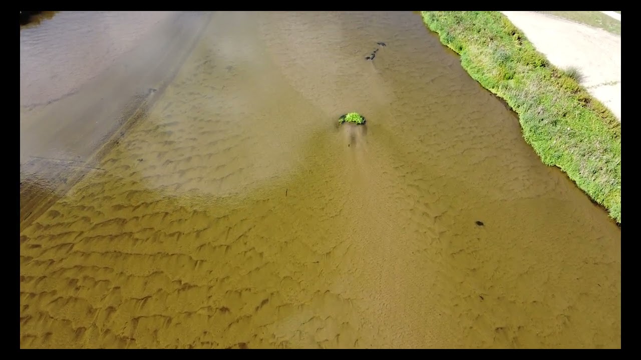 Nowe Miasto nad Pilicą - plaża i Park Nadpiliczny 4K