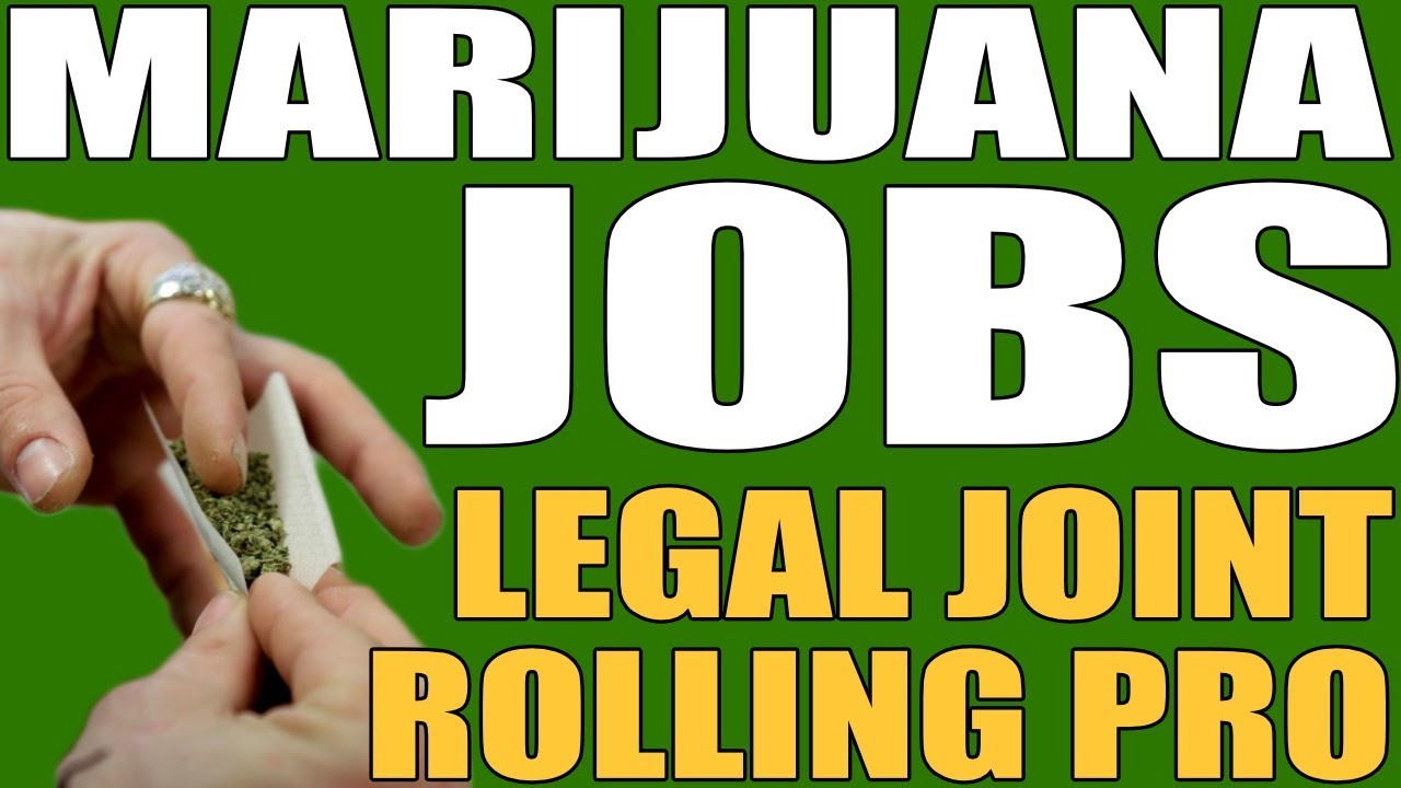 Dispensary Worker Manufactures PreRoll Joints In Marijuana Facility
