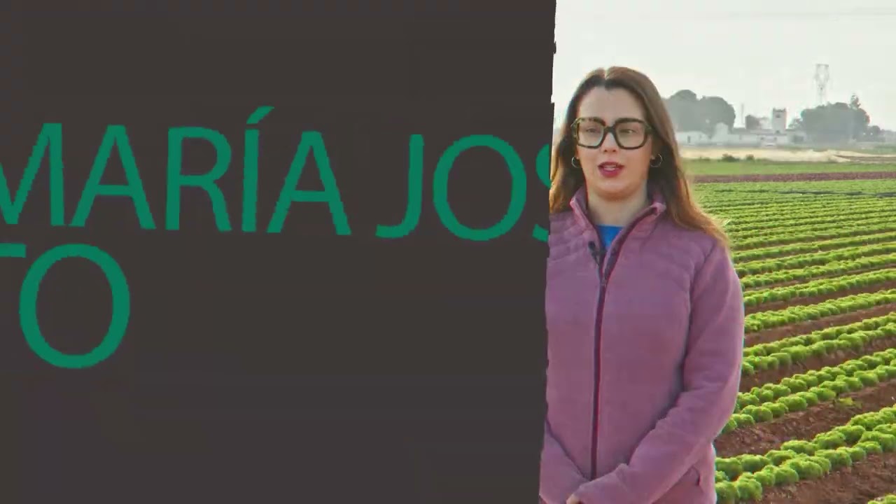 PROYECTO NUVES COMPLETO. Proexport