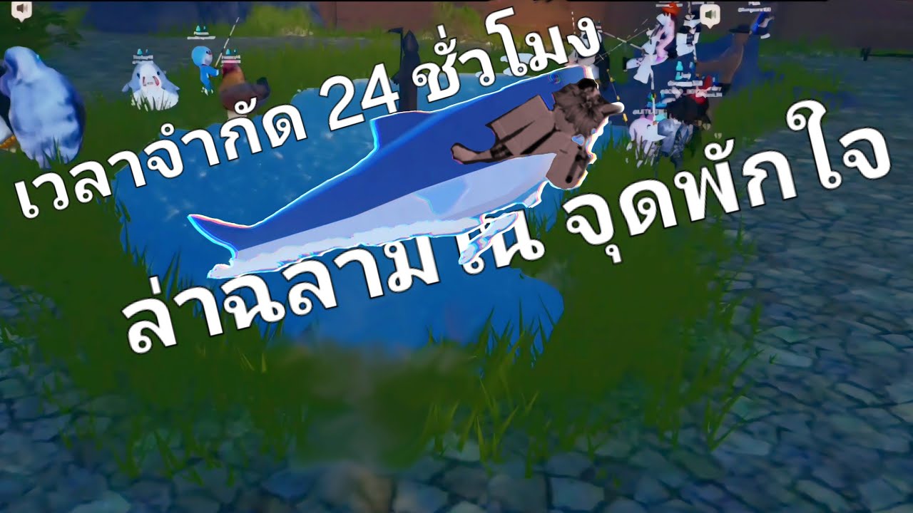 ตกปลาหาฉลามจะได้รึป่าว | Roblox จุดพักใจ