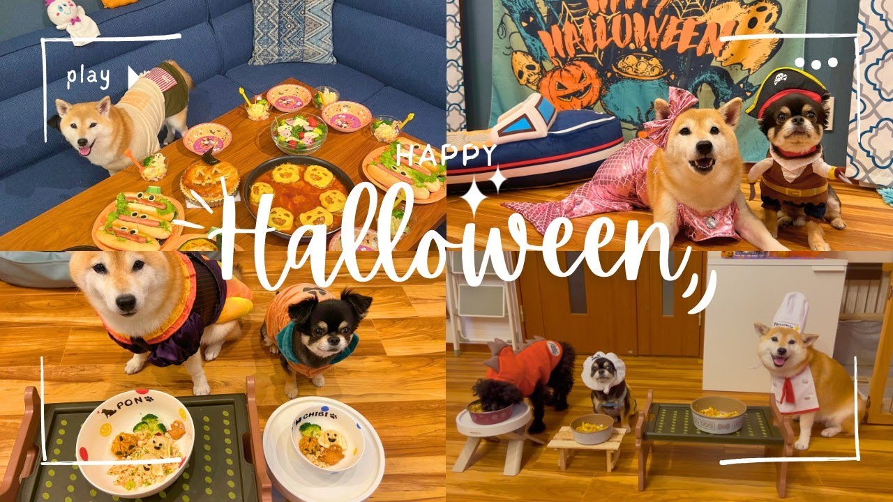 ハッピーハロウィン♪