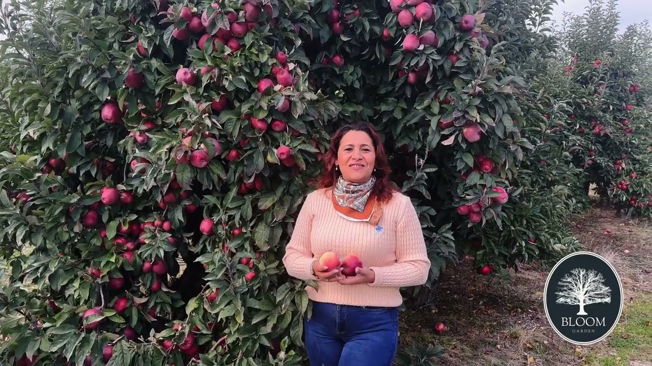 🌳 Pomi fructiferi de calitate de la Bloom Garden