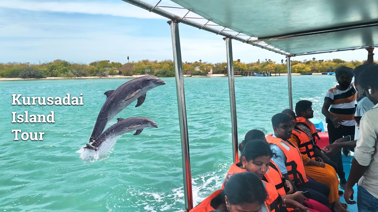 Kurusadai Island | Pamban | Rameshwaram | குருசடை தீவு சுற்றுலா | कुरुसदाई द्वीप #rameshwaramtourism