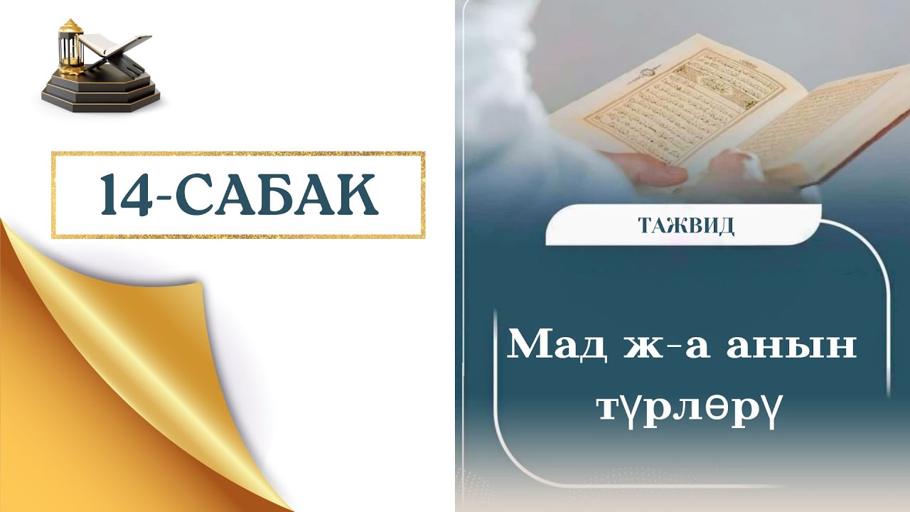 МАД жана анын түрлөрү.