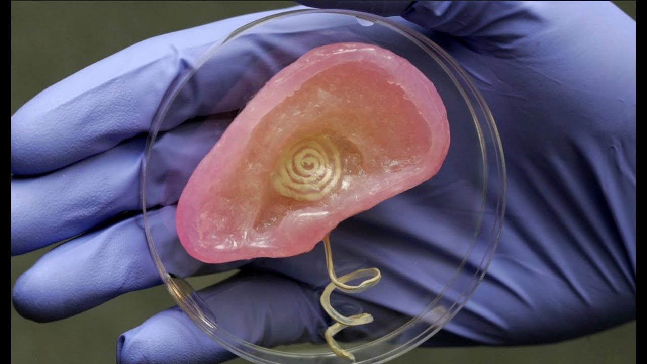 Impresi&oacute;n de &oacute;rganos en 3D