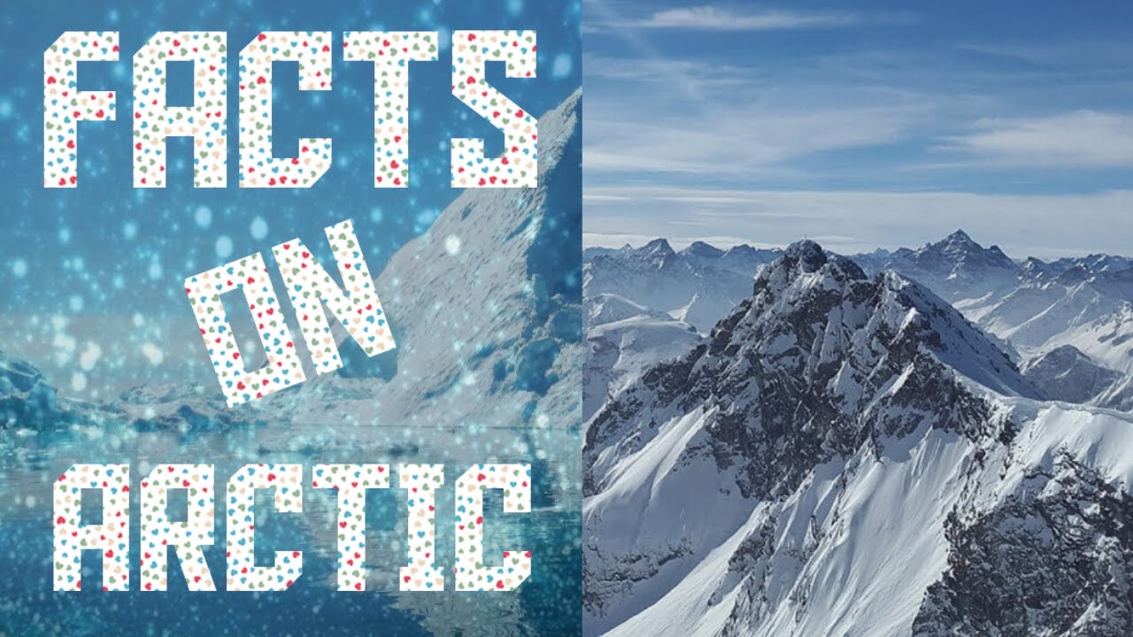 Some Interesting Facts on the Arctic I InfoVerse