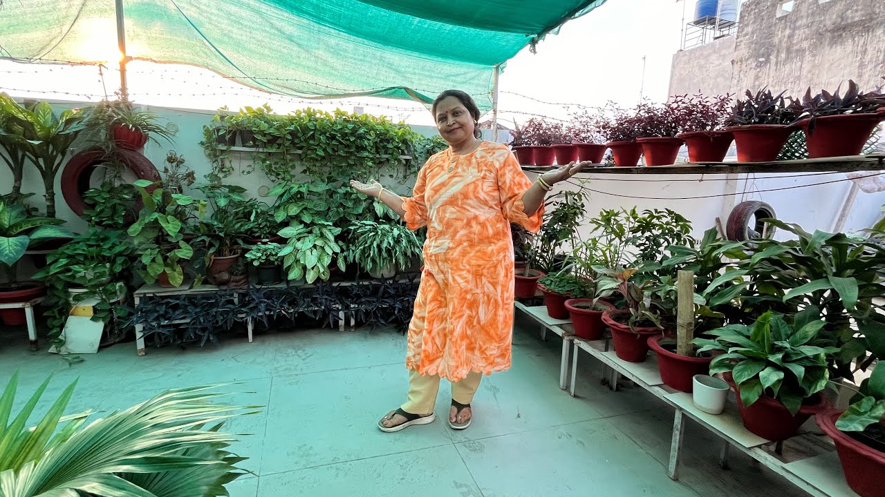 पूरा दिन कैसे बाग़वानी में निकलता है पता ही नहीं चलता 😯 इसे कहते है बाग़वानी का जुनून 🪴 EP-18