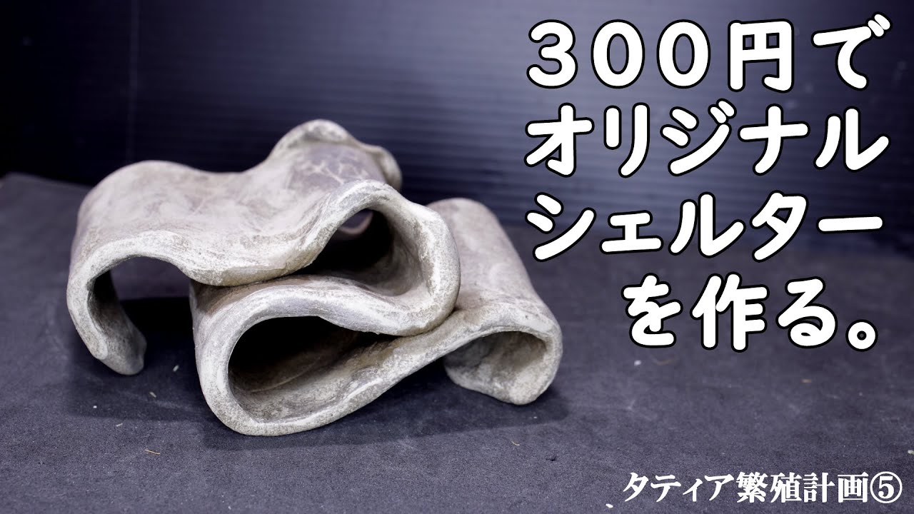 ヤコのオーブン陶土を使ってオリジナルシェルターを作ってみました。【アクアリウム】