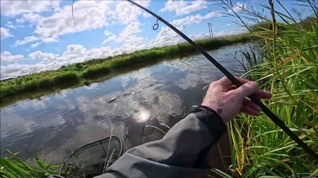 Vandstigning og fisk på træk