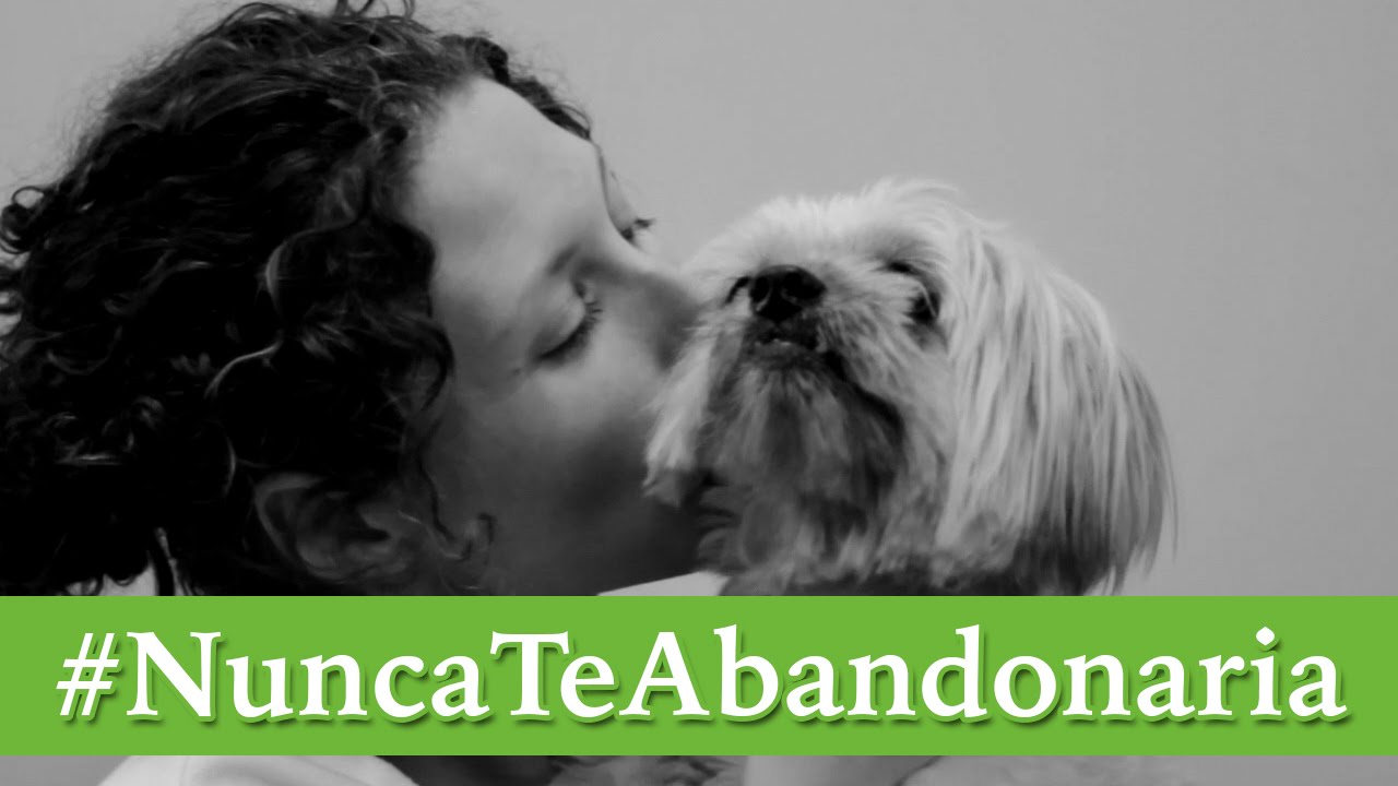 #NuncaTeAbandonaria | NO AL ABANDONO ANIMAL