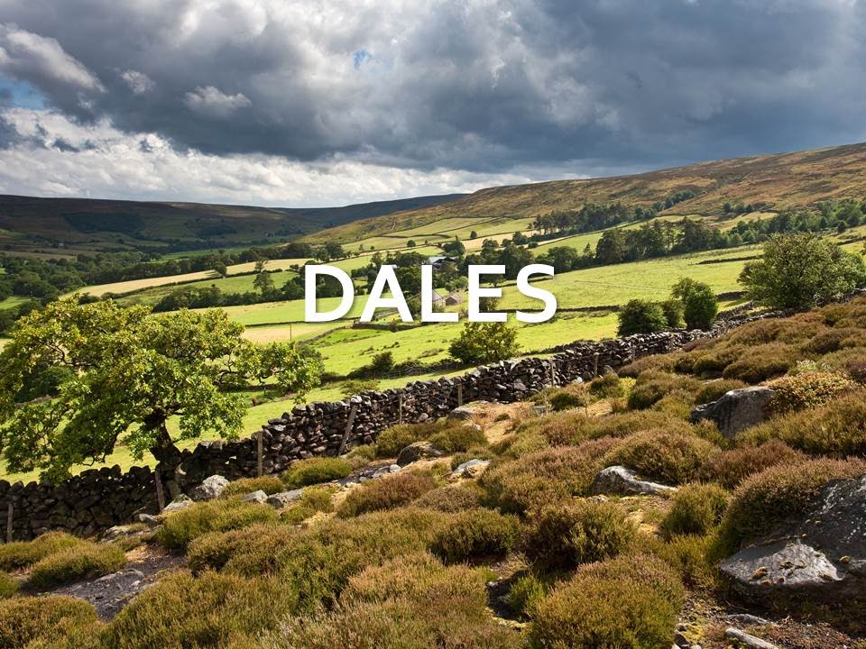 North York Moors - Dales