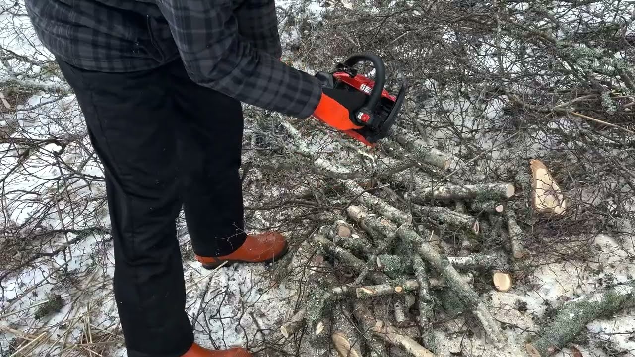 Cutting branches with Echo cs-2511tes