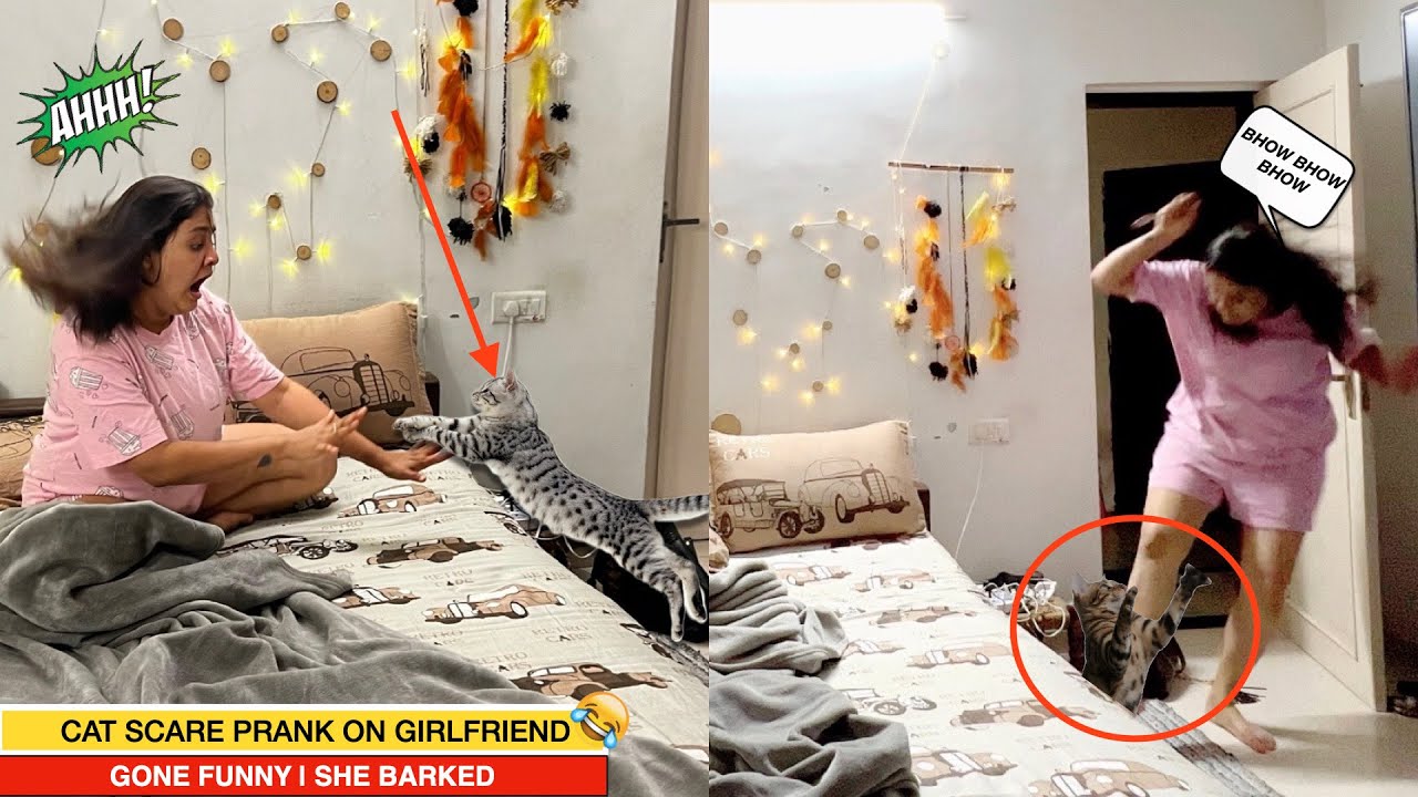 CAT SCARE PRANK ON GIRLFRIEND  | SUPER FUNNY REACTIONS | SHE BARKED
