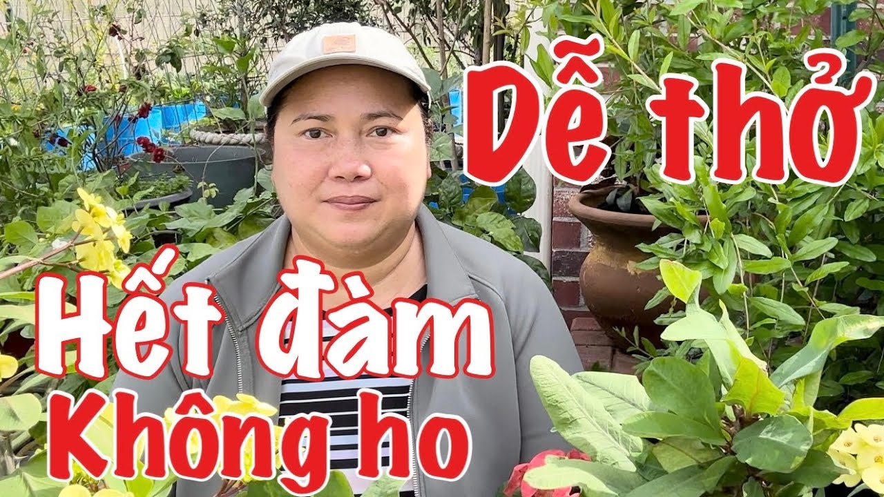 Loại n&agrave;o trị ho đờm xanh kh&oacute; thở hiệu quả nhanh nhất | how to clear mucus from your lungs & throat