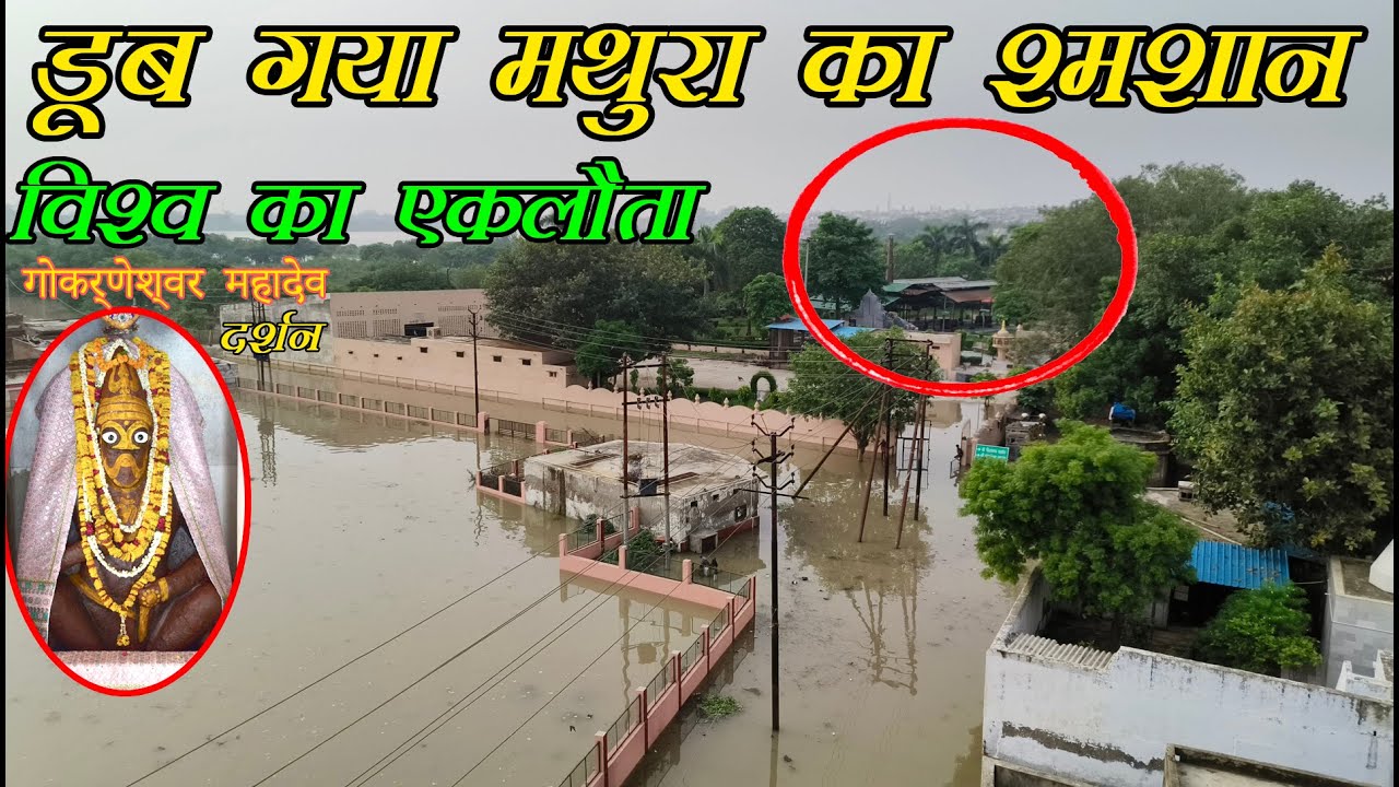 Mathura Mai Yamuna Ji Ka Jal Star Kitna Bada || मथुरा का समसान डूब गया || Yamuna flood || Yamunaji